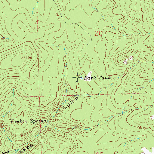 Topographic Map of Park Tank, NM