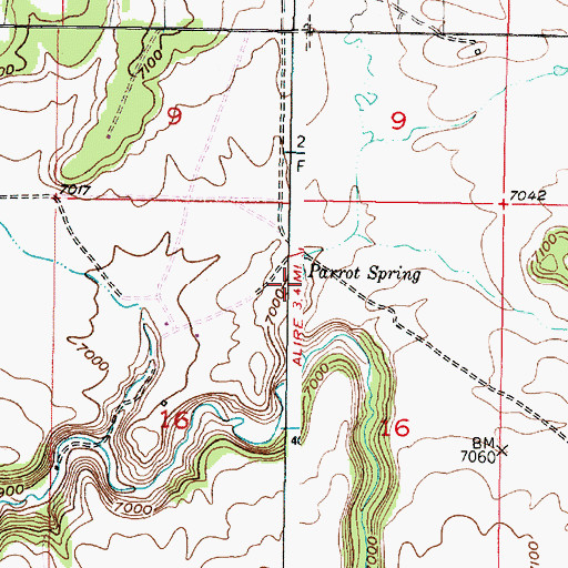 Topographic Map of Parrot Spring, NM
