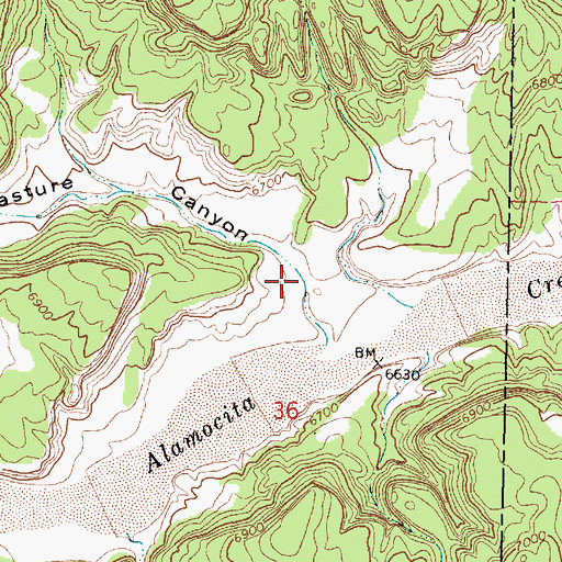 Topographic Map of Pasture Canyon, NM