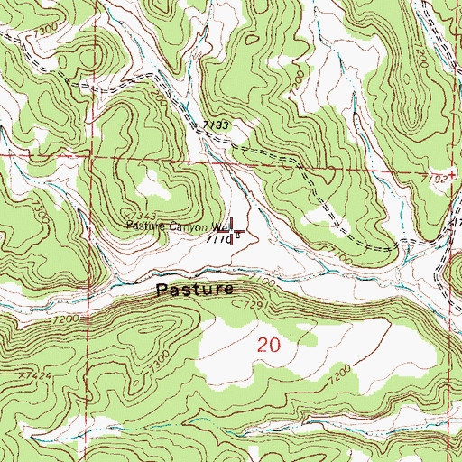 Topographic Map of Pasture Canyon Well, NM