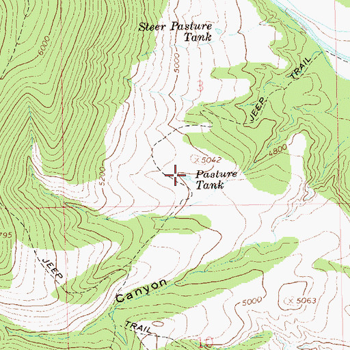 Topographic Map of Pasture Tank, NM