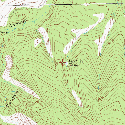 Topographic Map of Pasture Tank, NM