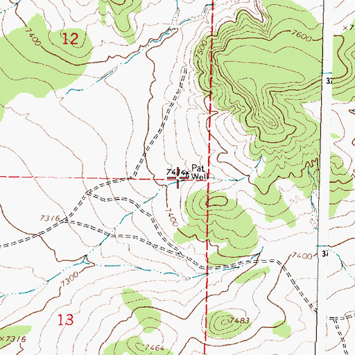 Topographic Map of Pat Well, NM