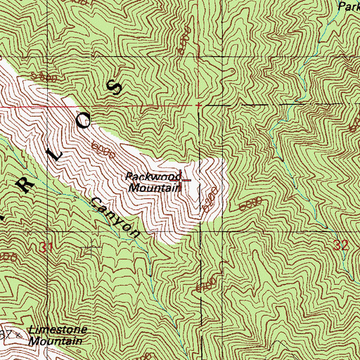 Topographic Map of Packwood Mountain, AZ