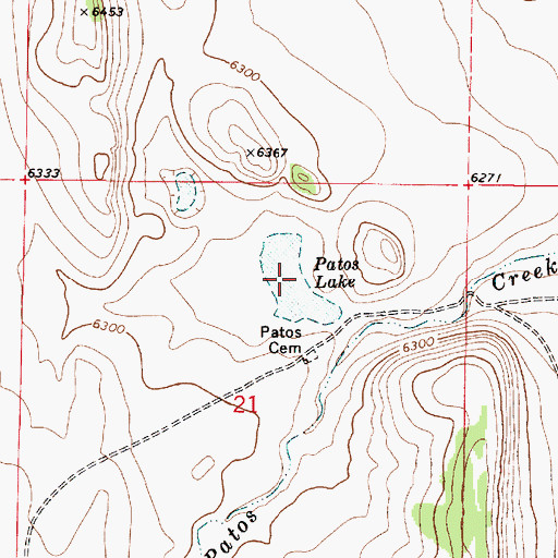 Topographic Map of Patos Lake, NM