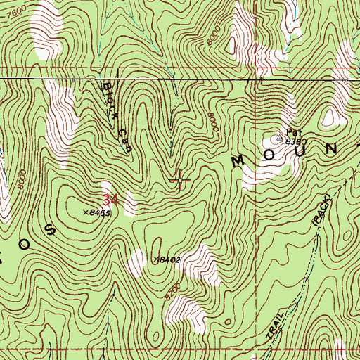 Topographic Map of Patos Mountain, NM