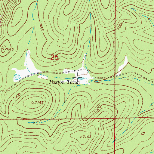 Topographic Map of Paxton Tank, NM