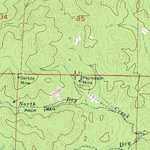 Topographic Map of Paymaster Mine, NM