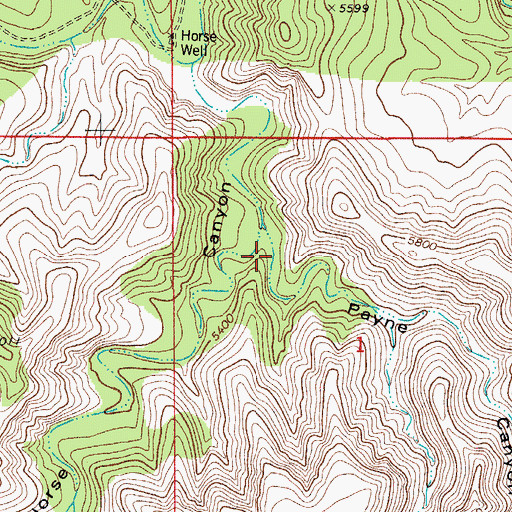 Topographic Map of Payne Canyon, NM