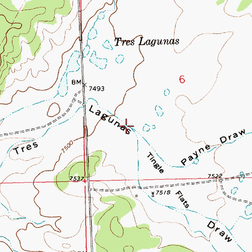 Topographic Map of Payne Draw, NM