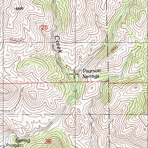 Topographic Map of Pearson Springs, NM