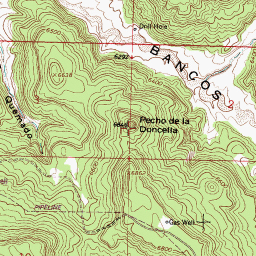 Topographic Map of Pecho de la Doncella, NM