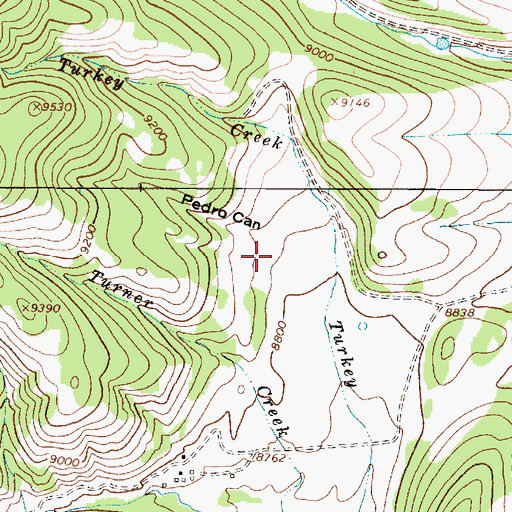 Topographic Map of Pedro Canyon, NM