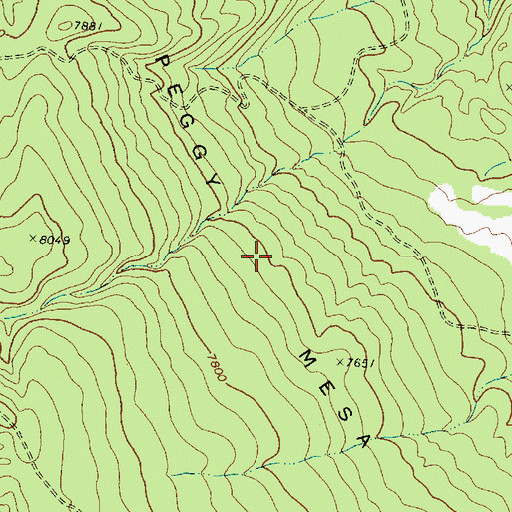 Topographic Map of Peggy Mesa, NM