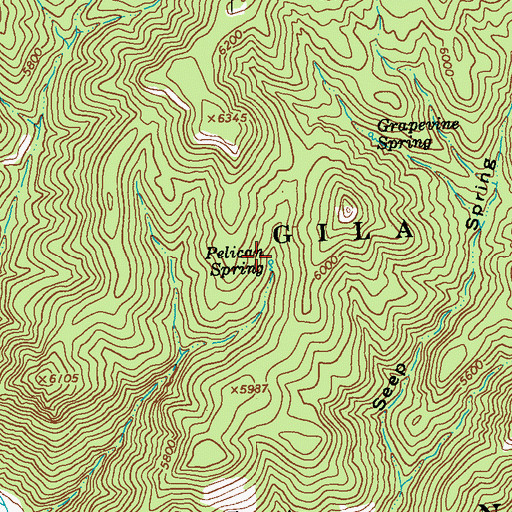 Topographic Map of Pelican Spring, NM