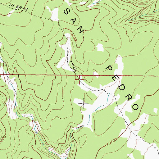 Topographic Map of Peas Negras Trail, NM