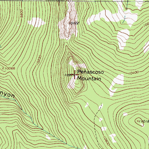 Topographic Map of Peascoso Mountain, NM