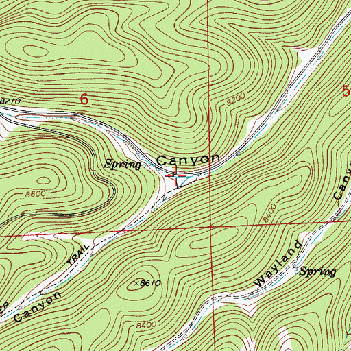 Topographic Map of Pepper Canyon, NM