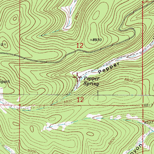 Topographic Map of Pepper Spring, NM