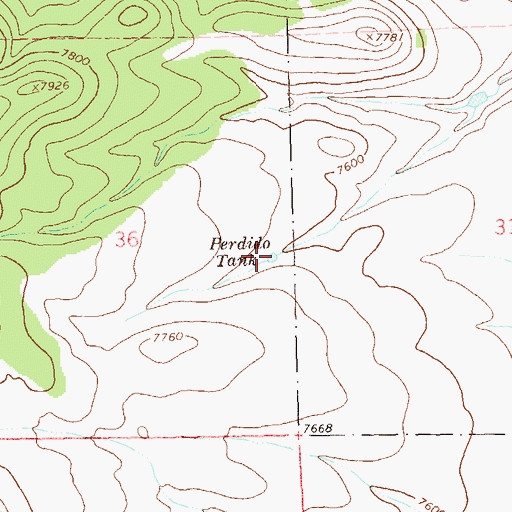 Topographic Map of Perdido Tank, NM