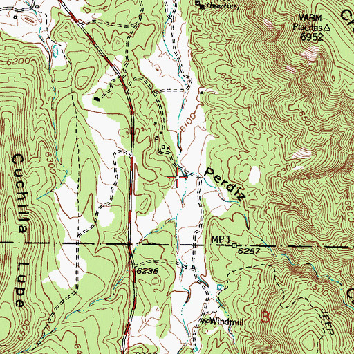Topographic Map of Perdiz Canyon, NM