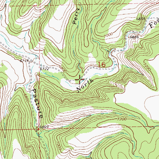 Topographic Map of Perry Canyon, NM