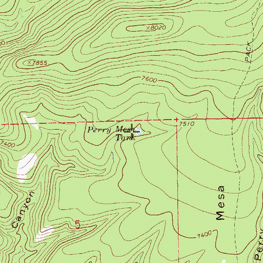Topographic Map of Perry Mesa Tank, NM