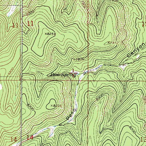 Topographic Map of Peso Spring, NM