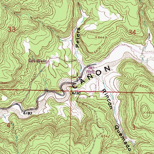 Topographic Map of Peters Canyon, NM