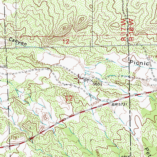 Topographic Map of Peterson Canyon, NM