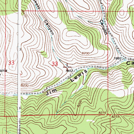 Topographic Map of Pickett Canyon, NM