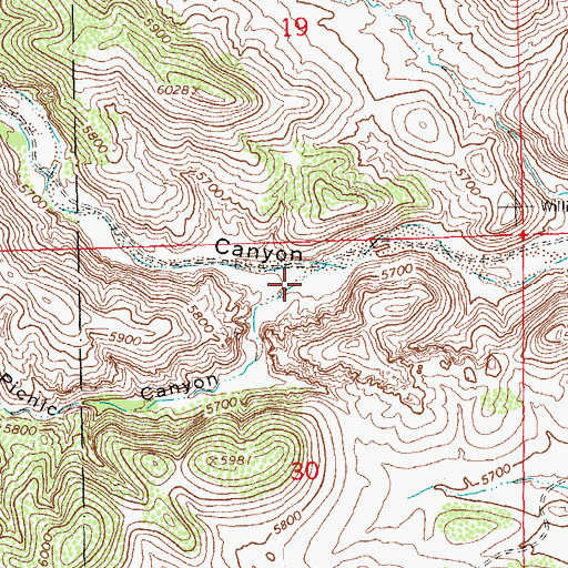 Topographic Map of Picnic Canyon, NM
