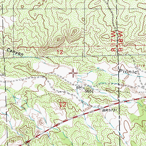 Topographic Map of Picnic Canyon, NM