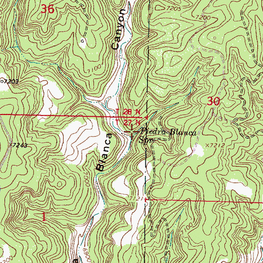 Topographic Map of Piedra Blanca Spring, NM