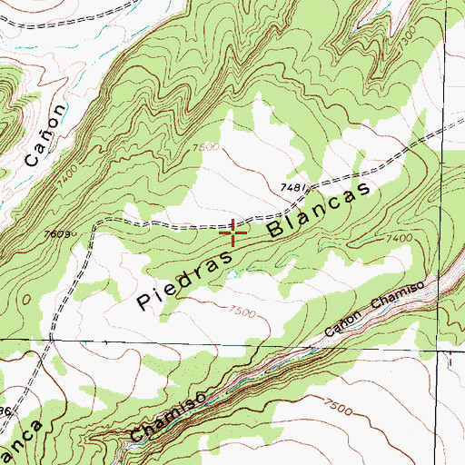 Topographic Map of Piedras Blancas, NM