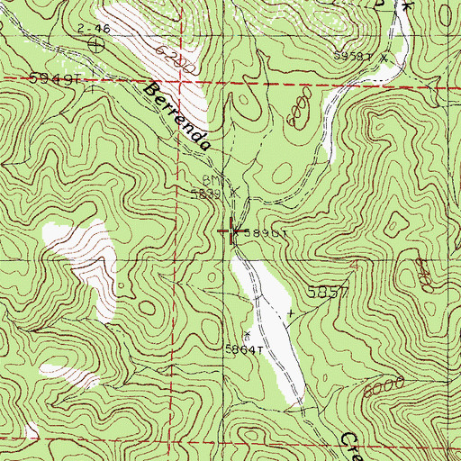 Topographic Map of Pierce Canyon, NM