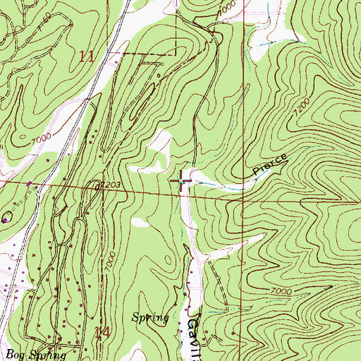 Topographic Map of Pierce Canyon, NM