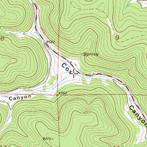 Topographic Map of Pierce Canyon, NM