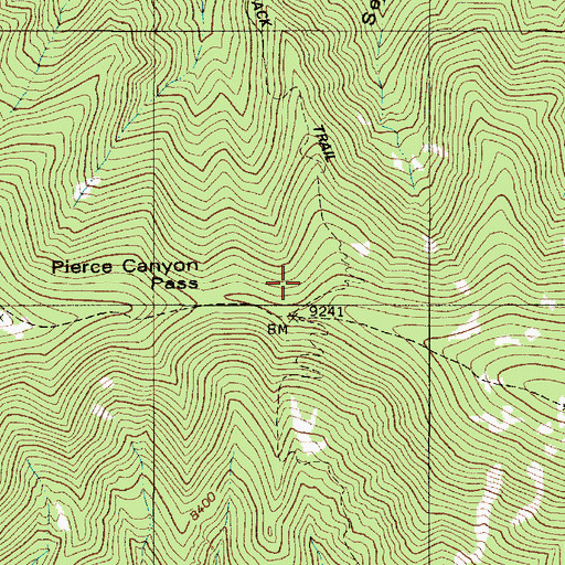 Topographic Map of Pierce Canyon Pass, NM