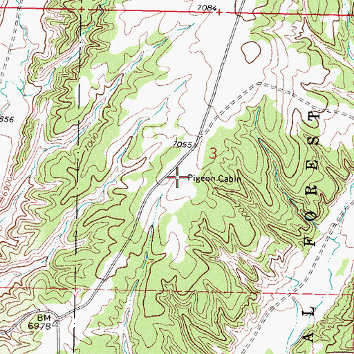 Topographic Map of Pigeon Cabin, NM