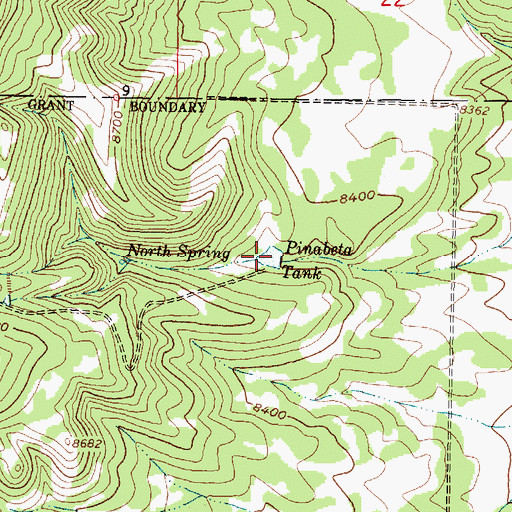 Topographic Map of Pinabeta Tank, NM