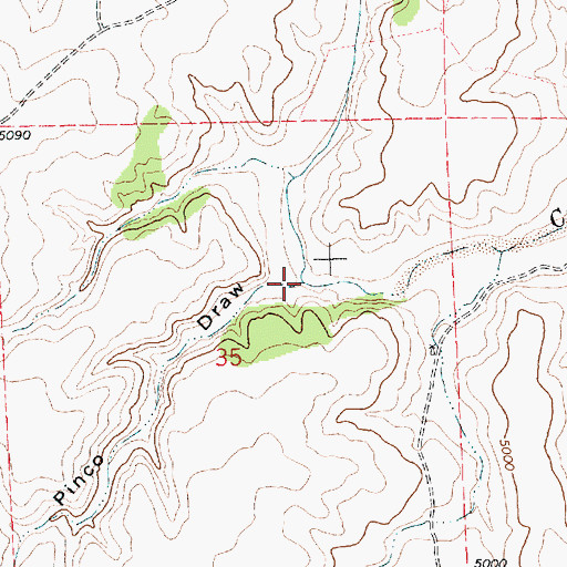 Topographic Map of Pinco Draw, NM