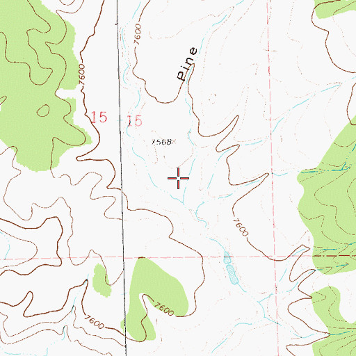 Topographic Map of Pine Canyon, NM