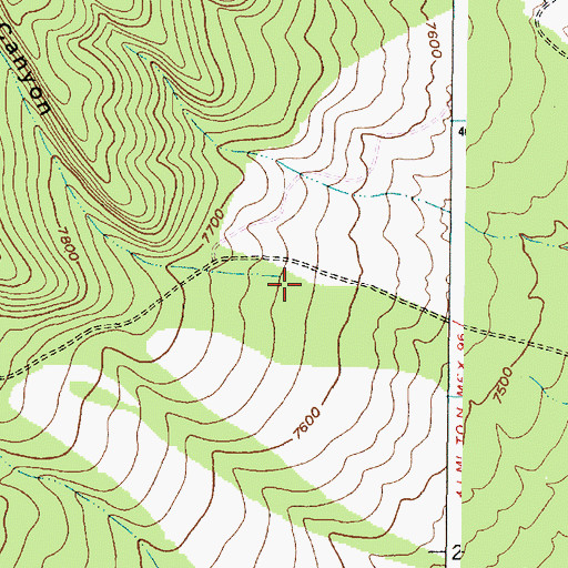 Topographic Map of Pine Canyon, NM