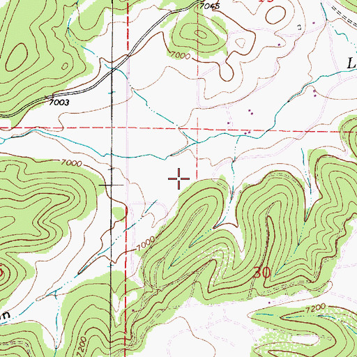 Topographic Map of Pine Canyon, NM