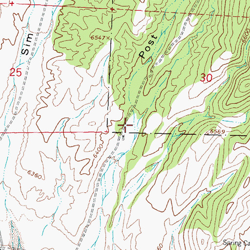 Topographic Map of Pine Canyon, NM