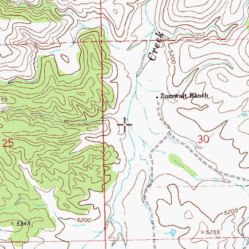 Topographic Map of Pine Cienega Creek, NM