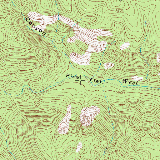 Topographic Map of Pine Flat, NM