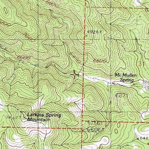Topographic Map of Pine Flat Canyon, NM