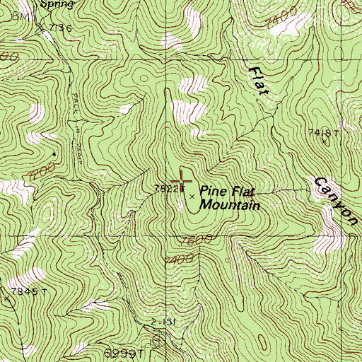Topographic Map of Pine Flat Mountain, NM